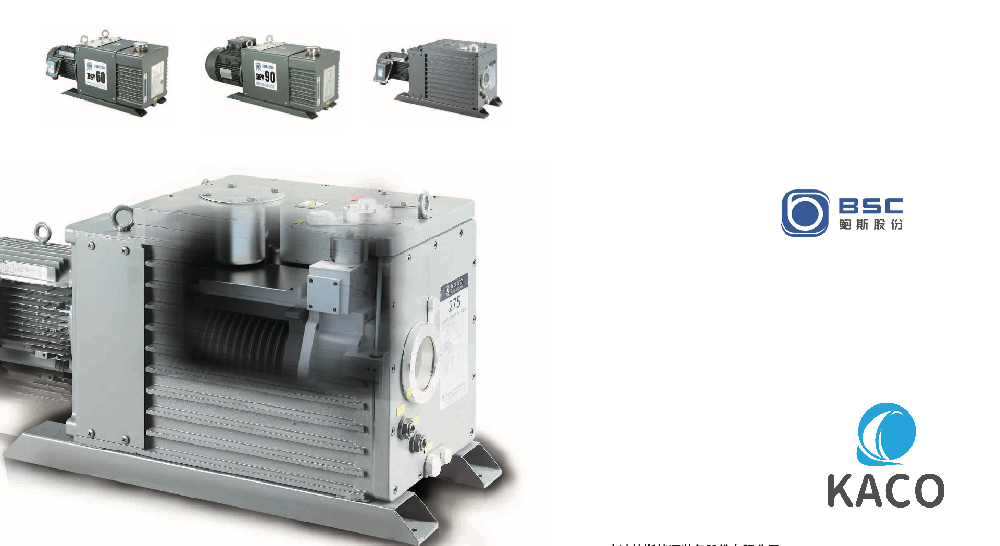 鮑斯BSV175雙級油封旋片式真空泵